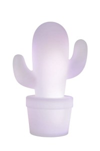 CACTUS 13813/02/31