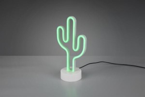 CACTUS R55220101