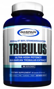 GASPARI TRIBULUS 90 KAPS. 90% SAPONIN TESTOSTERON